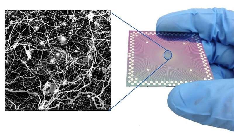 Artificial Metallic Nanowire Network