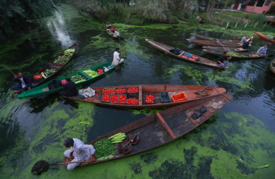 Dal Lake ‘Beautification