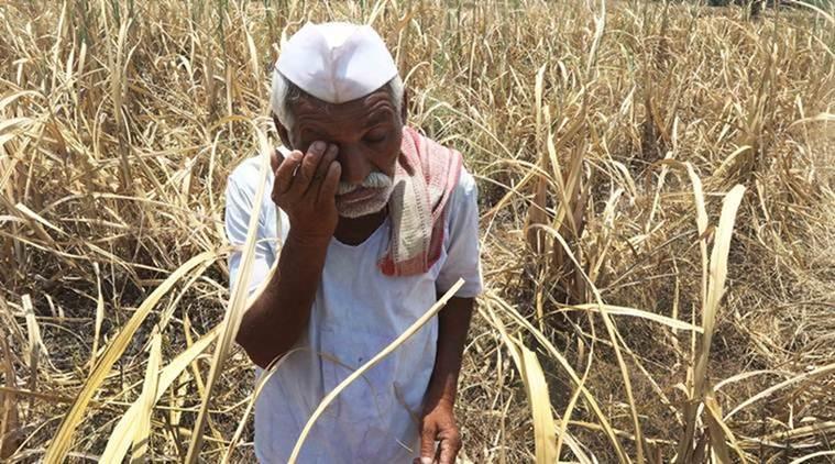 Maharashtra Govt Set to Waive up to Rs 2 Lakh Farmer Loans