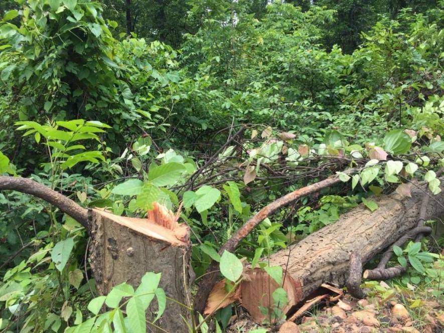 “In Patrapalli, people are sitting on a protest day in and out to ensure no trees are cut. Currently, people are not backing off and have surrounded the area to resist any attempts of tree cutting by the authorities.” 