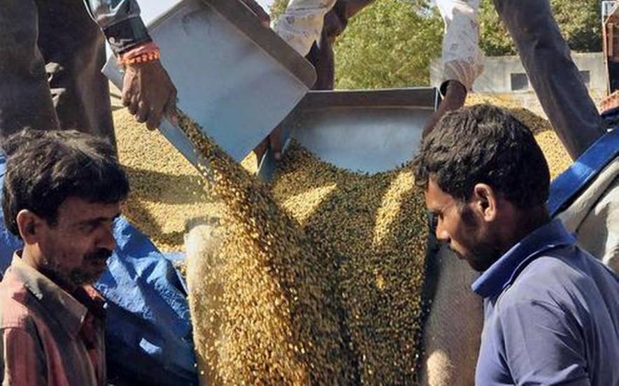 Centre’s Stoppage of Foodgrain Supply to Hostels Hits Over 2 Lakh Students in Maharashtra