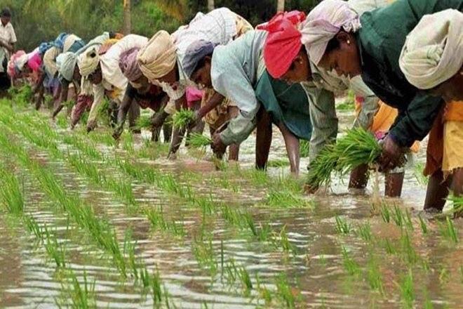 Over 5 Crore Farmers Yet to Get 3rd Instalment of PM-Kisan Scheme