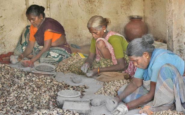 Cashew Workers in Tamil nadu