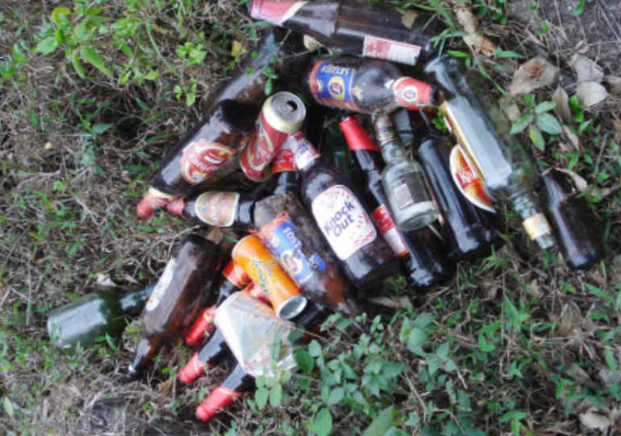Ahead of Holi, Dry Bihar Sees Spike in Liquor Demand