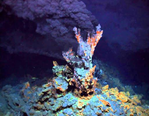 Life Originated at Hydrothermal Vents
