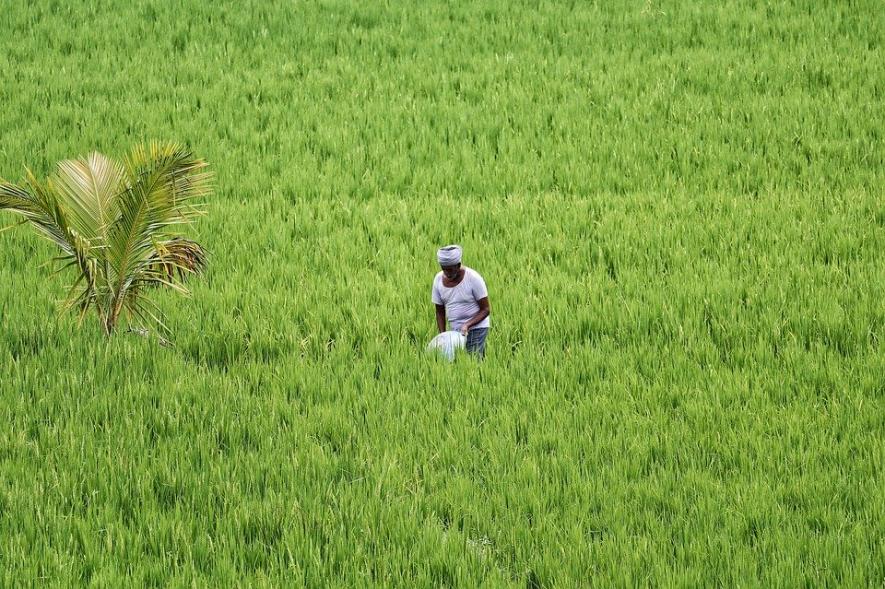 Agricultural Workers in India