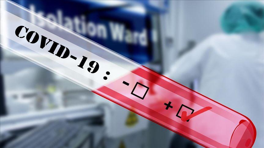 COVID 19 Deaths in India