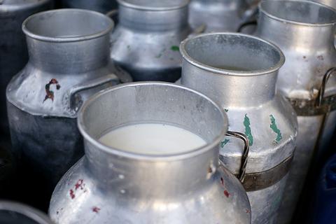 Unable to Sell Milk, Patiala Villagers Distribute for Free