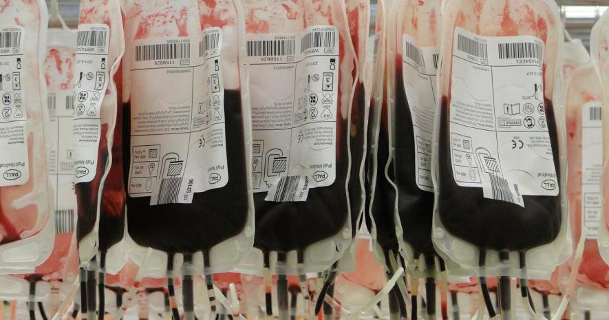 ‘Our Biggest Risk is Lack of Blood, Not the Virus’: Say Thalassemia Patients as Blood Banks Face Shortage