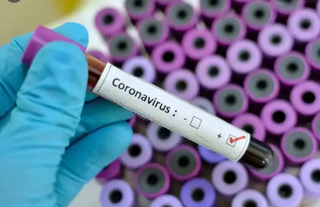 COVID-19: WHO’s Global Blood Test to Assess the Real Picture of Infection Spread