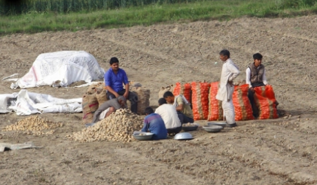  Farmers in Theri Village