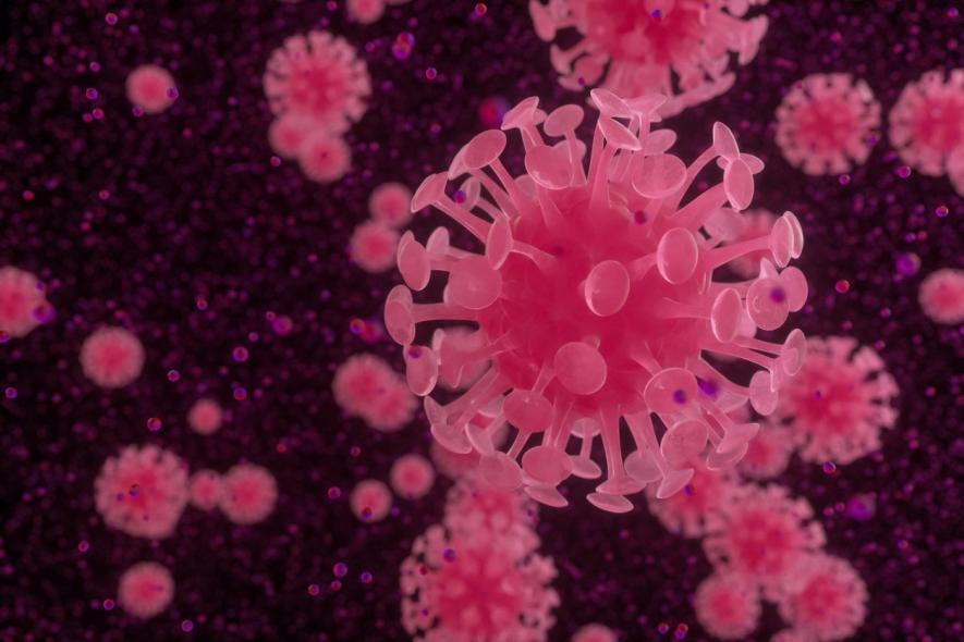 Mutations Undergone by Coronavirus Tracked, 3 Lineages Found: Study