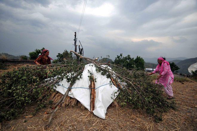 Uttarakhand Farmers Seek Compensation