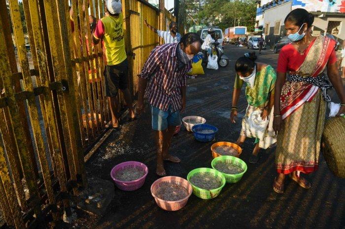 Lokdown Hits Mumbai's Fishing Community Hard, Women Sellers Rendered Jobless