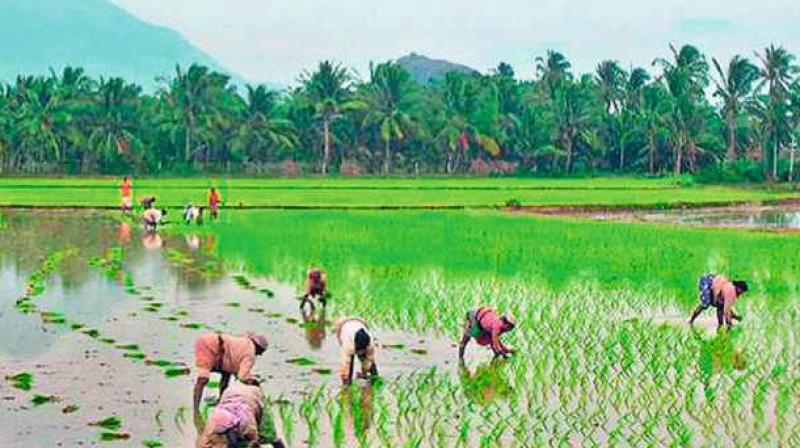 Farmers Not Prepared for Telangana’s New