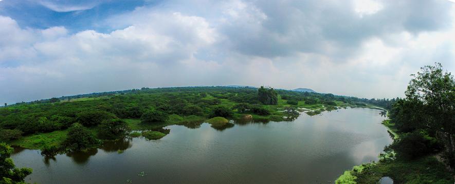 Vedanthangal Bird Sanctuary in Tamil Nadu Could  Lose 40% Area if Declassification Proposal Approved, Local Community Opposes Move  