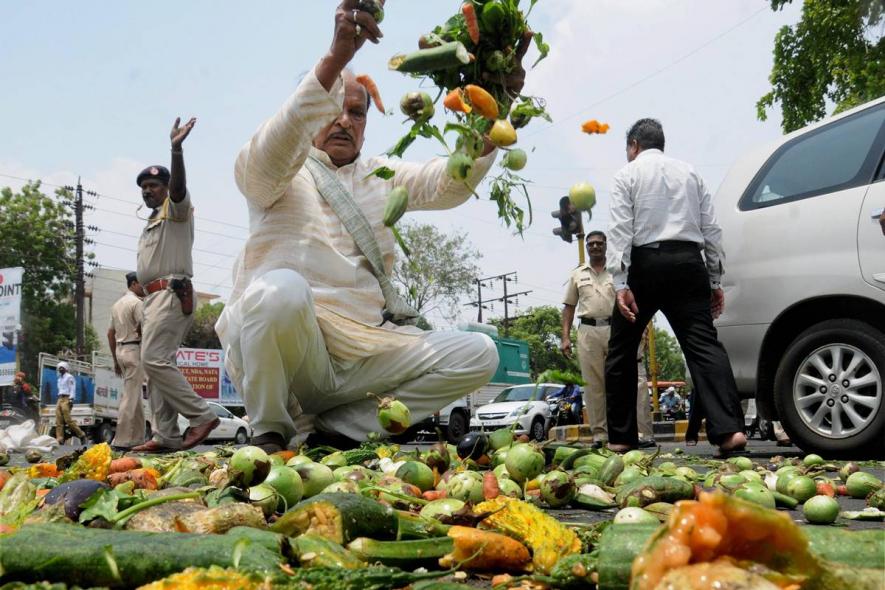 Tamil Nadu Farmers Dump Veggies on Road in Protest Against Price Slump