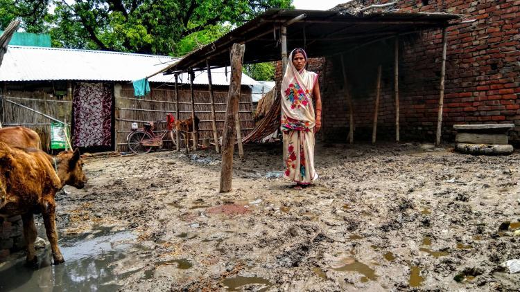 Income and Food Security in Bihar’s Bairiya Village