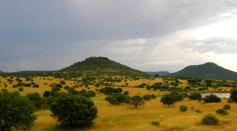 African Savanna. Image Courtesy: Wikimedia Commons.