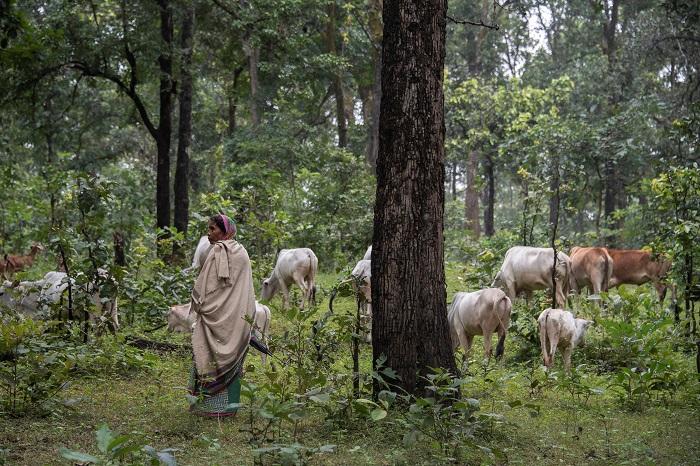 Indigenous people of Hasdeo Forest. | Photo: Brian Cassady