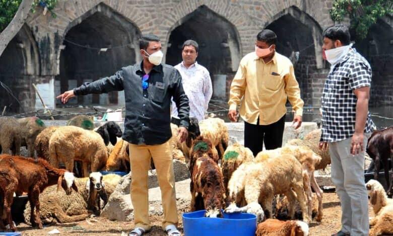 Bakrid: Animal Traders Seek Compensation from Maha Govt for Losses