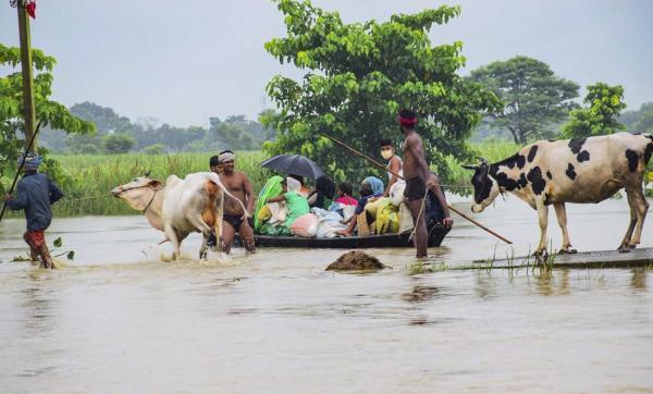 Bihar Floods: Farmers’ Hope for Bumper Kharif Crops