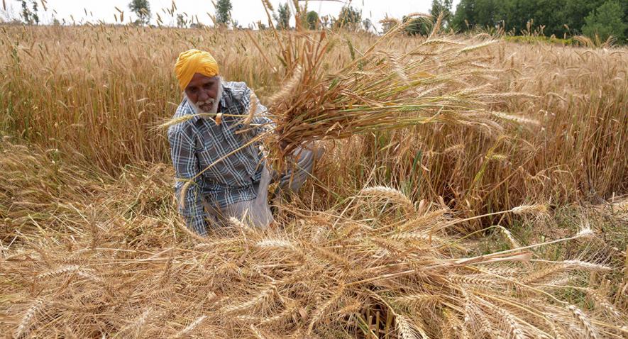 Will Decriminalisation of Section 56(1) of NABARD Act help business grow or create hurdles?