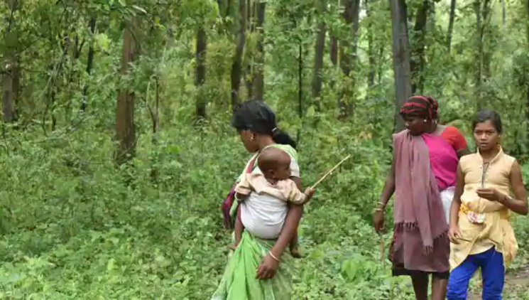 Claims of Forest Dwellers in Nine months