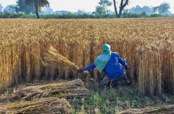 Record Harvest, Record Stocks