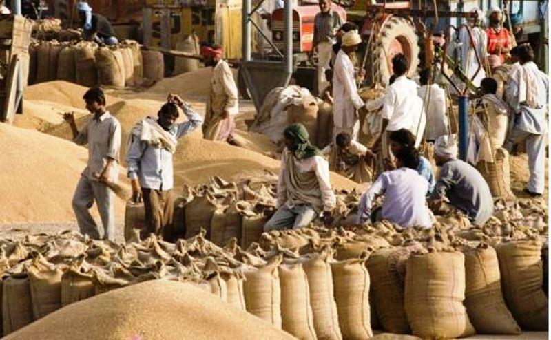 Madhya pradesh doubled wheat procurement despite lockdown decoded