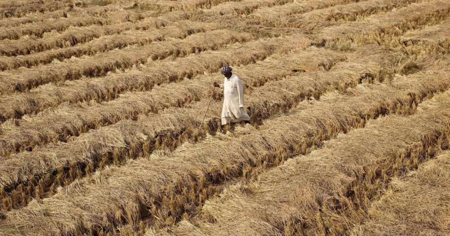 Barmer Farmers Call for Postponing