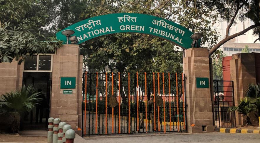 NGT Seeks Ban on Mining Minor Minerals After Killing of Forest Guard in Sariska