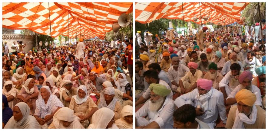 Farmers, led by Bharatiya Kisan Union - Ekta Ugrahan, laid siege to mansions of SAD president Sukhbir Badal and his wife and Union Cabinet Minister Harsimrat Kaur Badal at Badal village in Punjab. Courtesy - Special Arrangement.