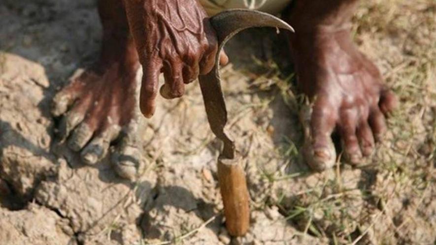 A Total of 32,563 Daily Wagers, 10,281 in Farming Sector Killed Self in 2019: NCRB