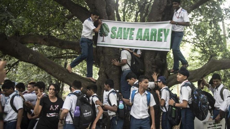 Behind Save Aarey’s Success