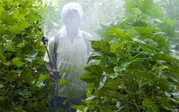 Three Maharashtra Farmers Sue Syngenta in Switzerland for Pesticide Poisoning