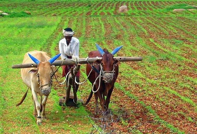 Maharashtra to Have Statewide Agitation Against Farm and Labour Bills