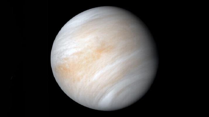 Detection of Phosphine on Venus Triggers Debate on Presence of Life