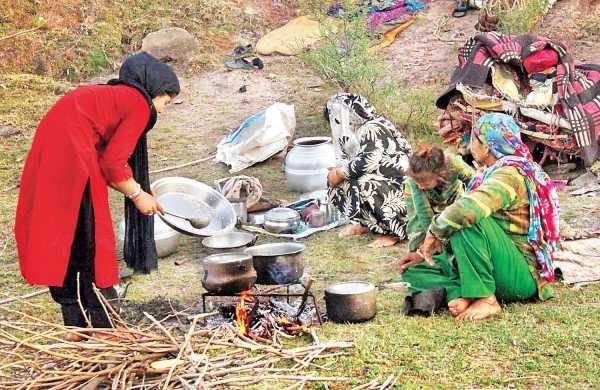 J&K: ‘Why do you Need Land?’ Eviction Threat Looms Large over Bakarwal Families