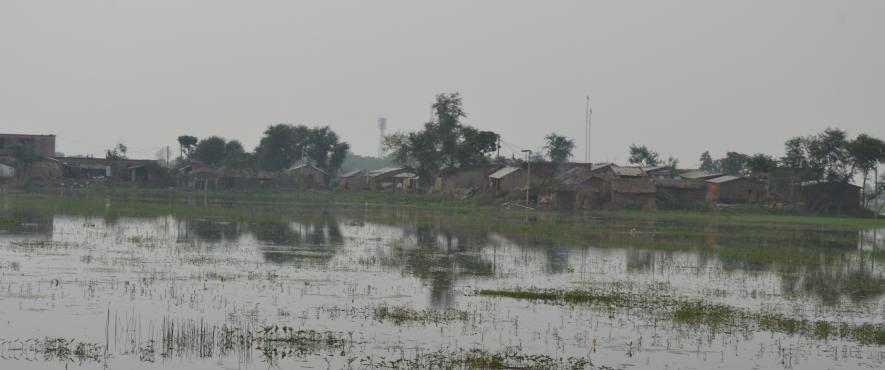 Bihar elections: Mushar community