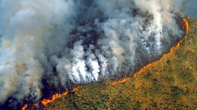 Amazon Forest Fires Continue Unabated Amid Pandemic, Raise Risk of Future Outbreaks