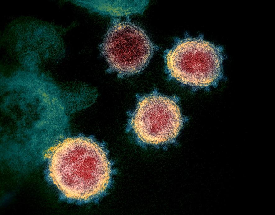 COVID-19: Herd Immunity ‘a Dangerous Fallacy’, say Scientists in Open Letter