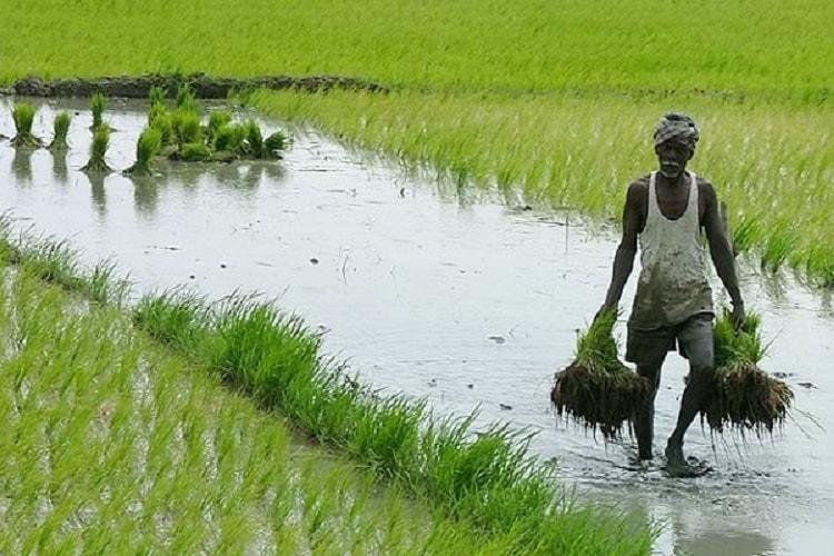 As Centre Privatises, Kerala forms Farmers Welfare Fund Board for Farmer Security