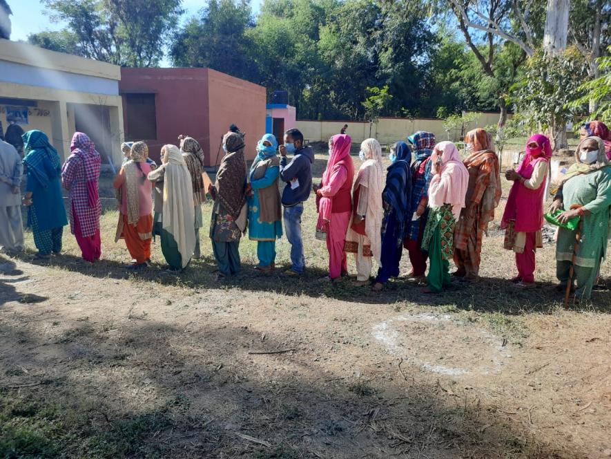 J&K Holds Maiden District Development Council Polls; West Pak Refugees Vote for First Time