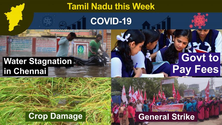 TN This Week: Cyclone Nivar Causes Severe Crop Damages, North Chennai Residents Allege Neglect, Over 50,000 Detained During Nov 26 Strike