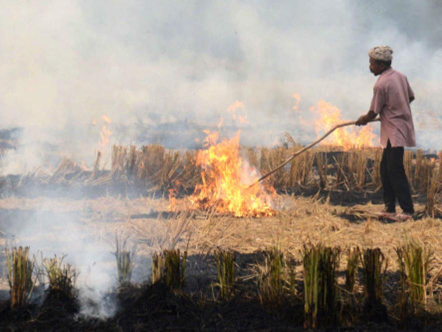 ‘Farmers Not Solely Responsible for Pollution’: BKU Condemns Stubble Burning Arrests