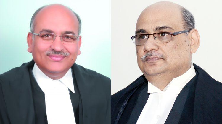 Justice Pankaj Mithal and Justice Rajan Roy.