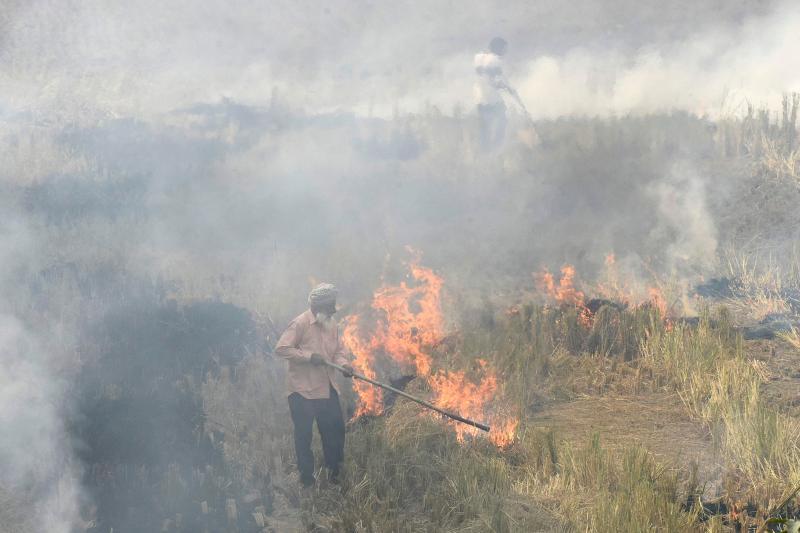 Stubble Burning: UP Farmer’s Family Alleges he Died of ‘Shock’ After Lekhpal Threatened Rs 5,000 Fine