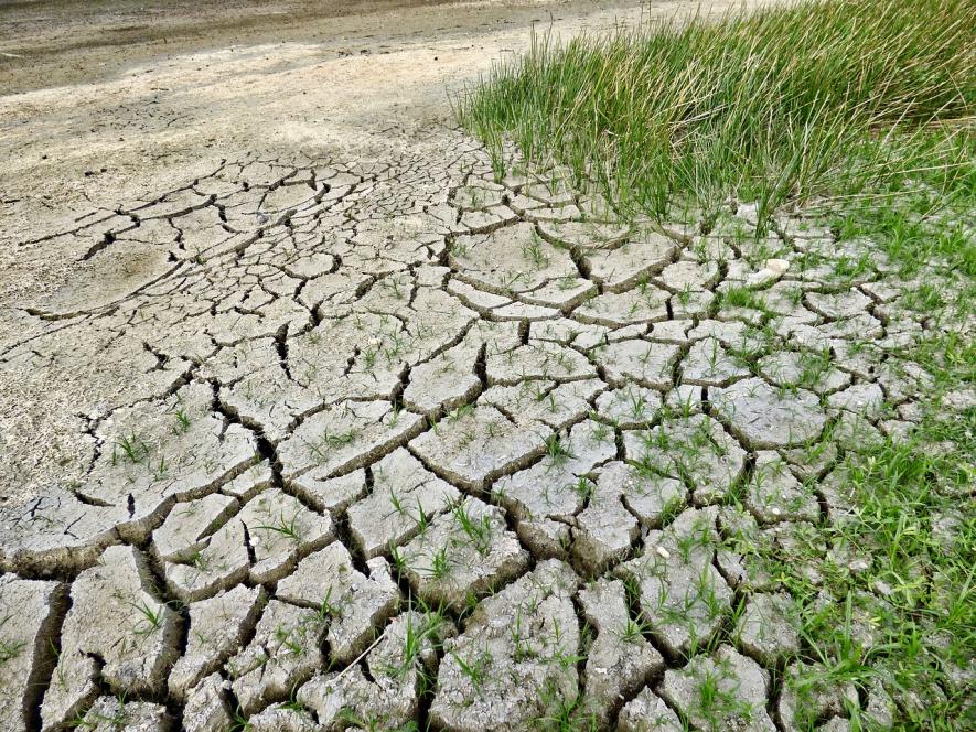 Climate Change Impacts Arid Regions of Wealthier and Poorer Countries Differently: Study