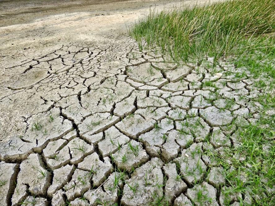Climate Change Impacts Arid Regions of Wealthier and Poorer Countries Differently: Study
